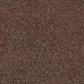Shaw Carpet At Lowes Shaw Wide Width Sculpture I 15 Ft Ocher Textured Interior Carpet