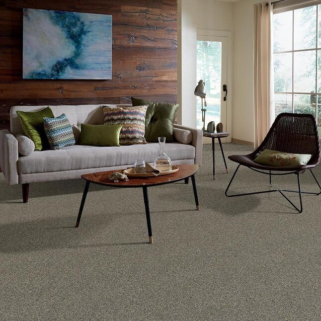 Shaw Wide Width Sculpture II 12-ft- Dynamic Dynamic Textured Carpet Sample (Interior) Shaw Wide Width Sculpture II 12-ft- Dynamic Dynamic Textured Carpet Sample (Interior)