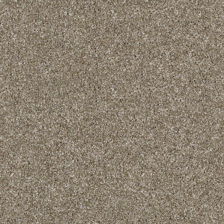 Shaw Wide Width Sculpture Iii 15 Ft Cameo Textured Shaw Wide Width Sculpture Iii 15 Ft Cameo Textured Interior Carpet