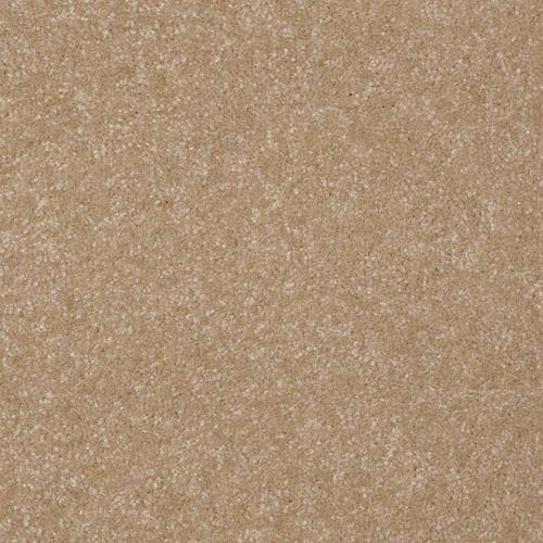 Shaw Chambers 12 Ft Classic Buff Carpet Sample at Lowes.com