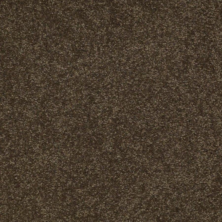 Shaw Perkinson I 12 Ft Sprout Carpet Sample in the Carpet Samples ...