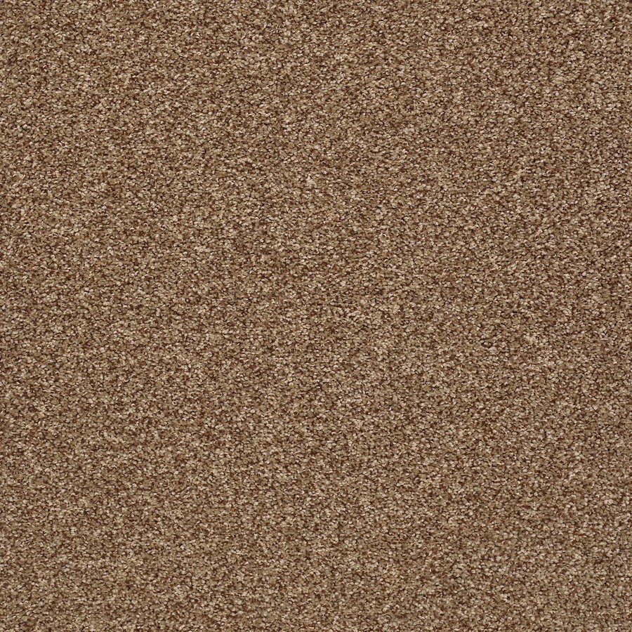 Shaw Ignite Electric Electric Carpet Sample at