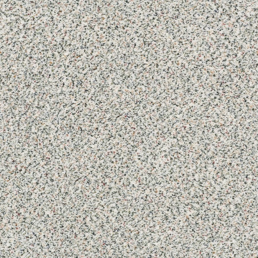 STAINMASTER Signature Exquisite Accent II Slumber Party Textured Carpet