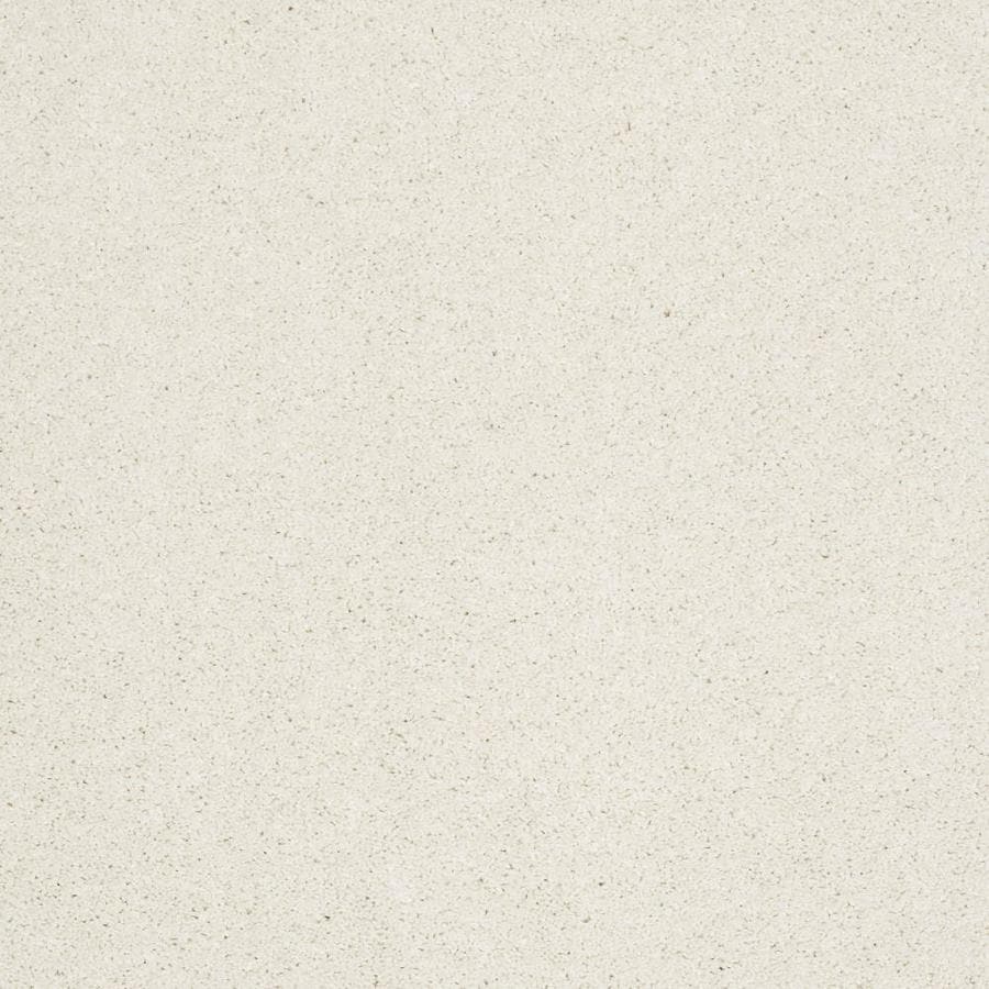 White Carpet Carpet Tile At Lowes Com   190402284518 