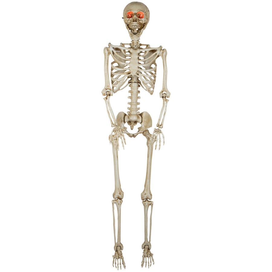 Holiday Living Halloween Decor at