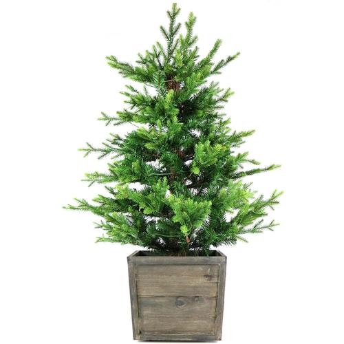 Fraser Hill Farm 4-ft Pre-Lit Pine Artificial Christmas Tree With 200 ...