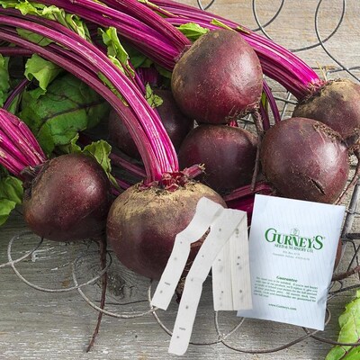 Gurney S Seed And Nursery 2 Count 7 5 Ft Beet