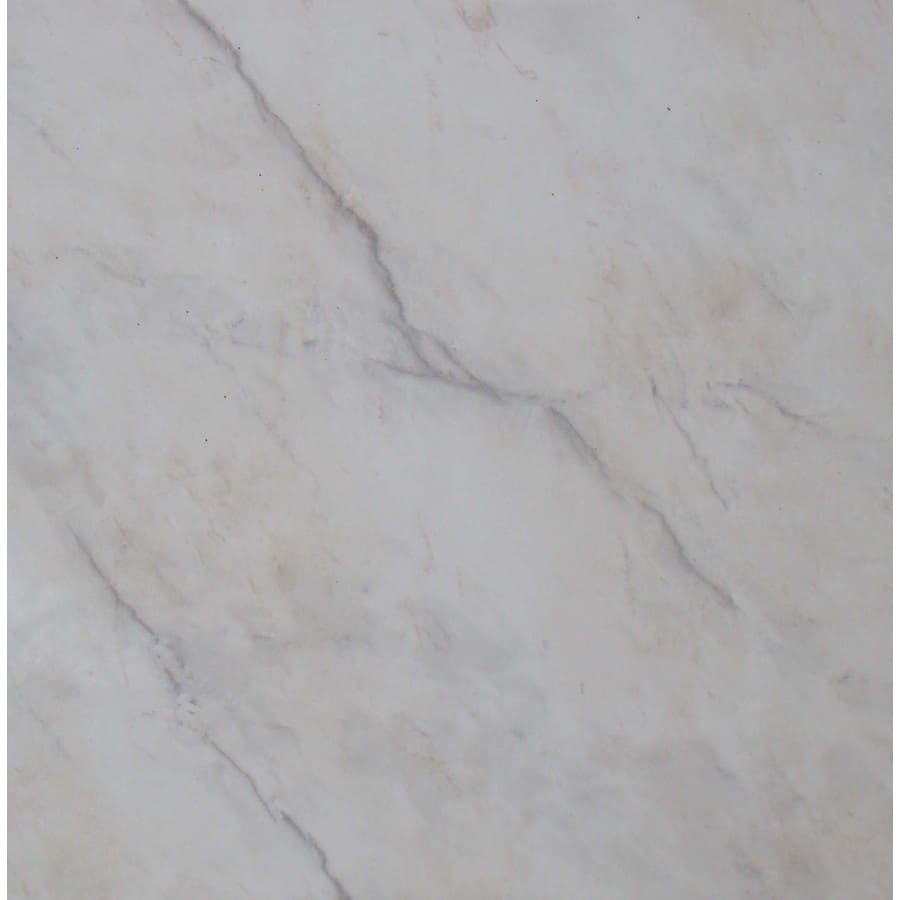 FLOORS 2000 VIC1640501 Victoria 40501 Ceramic Tile (21.53-sq. ft/ Box Only)