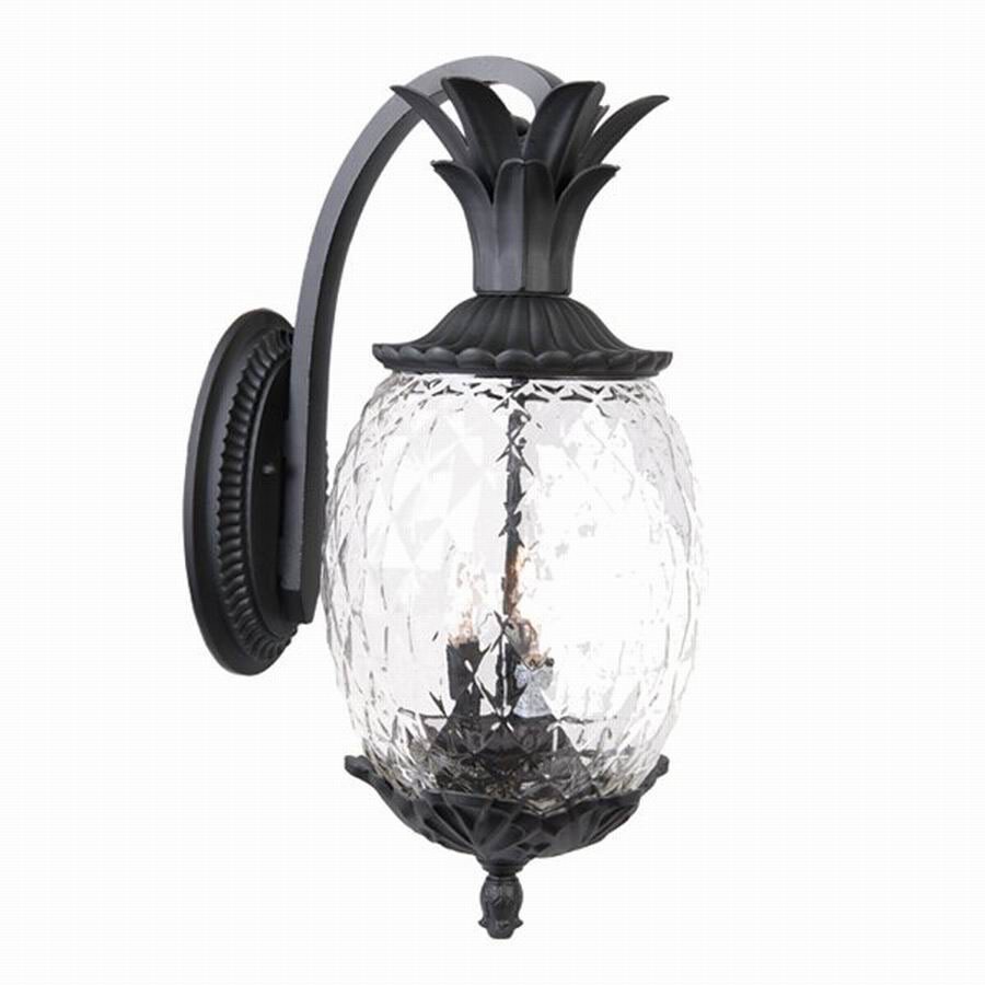Acclaim Lighting 7512BK Lanai 21-3/4-in Matte Black Outdoor Wall Light