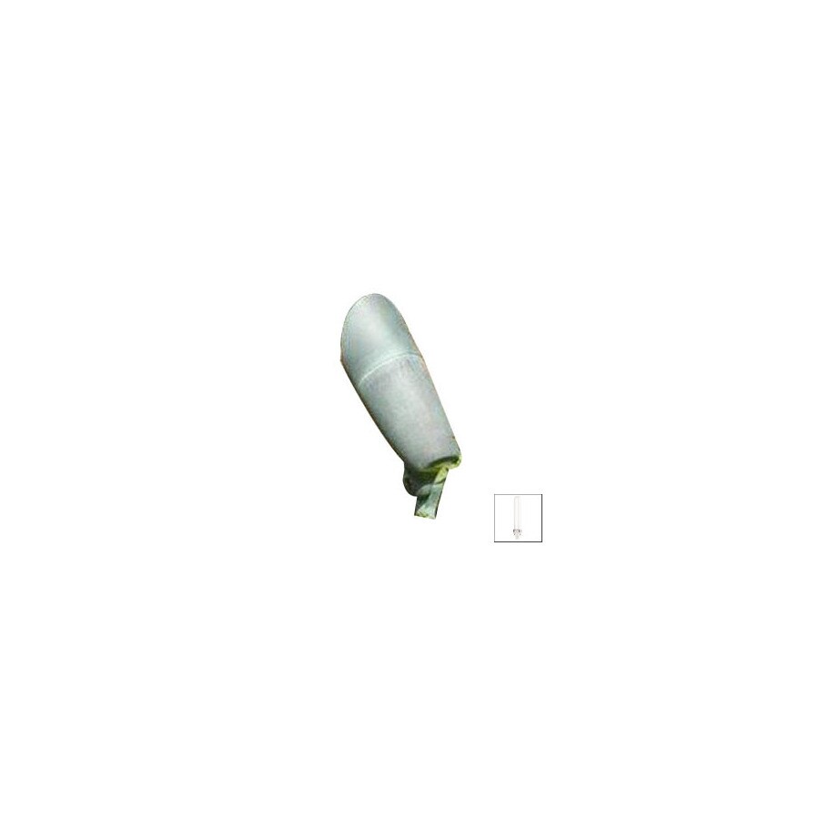 Focus Industries DL-38-NL-FL-13-BAV Brass Acid Verde 110-Volt Spotlights