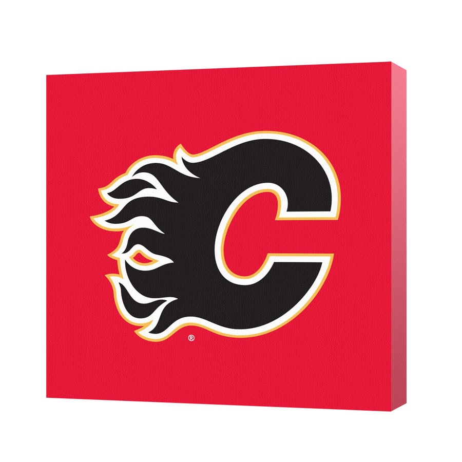 Game On Images NHL052010201D 