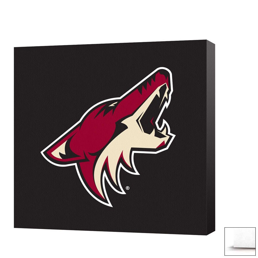 Game On Images NHL232010121W 