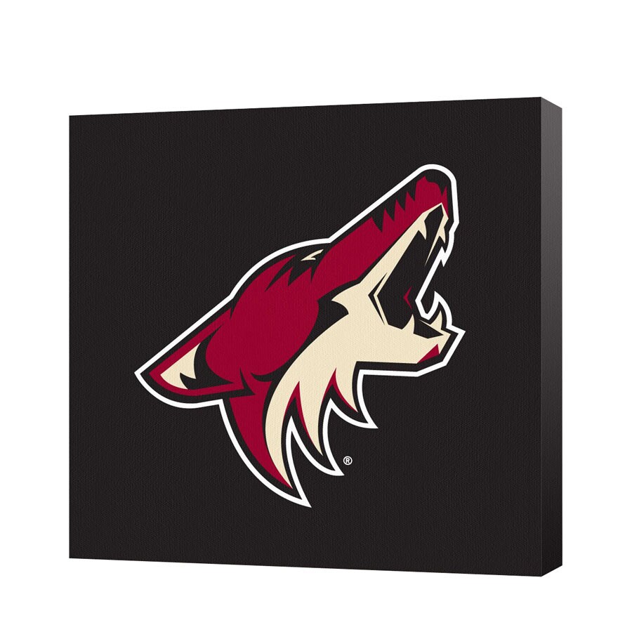 Game On Images NHL232010201D 