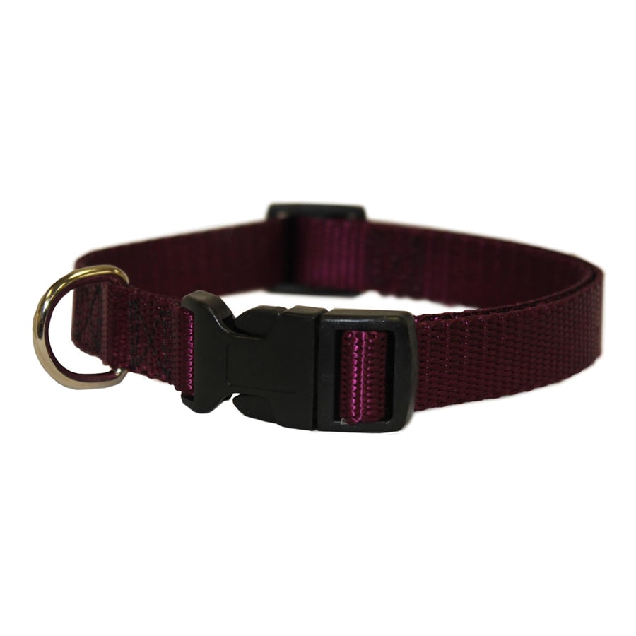 Majestic Pets Burgundy Nylon Dog Collar at Lowes.com