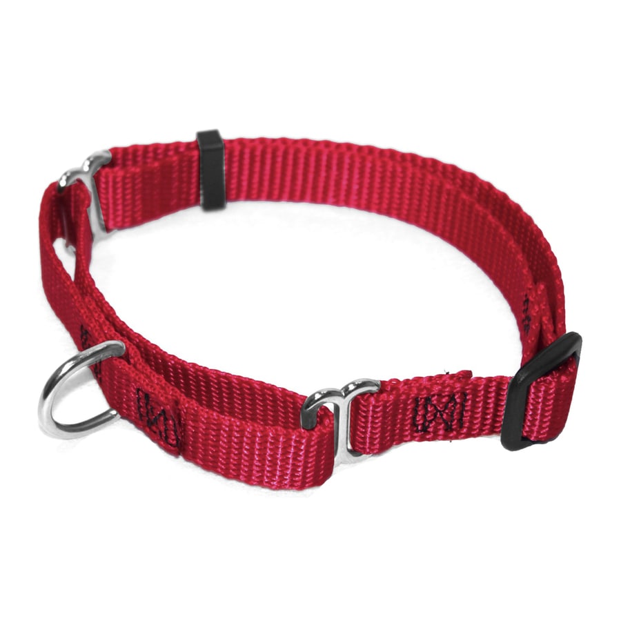 Majestic Pets Red Nylon Dog Collar At Lowes.com