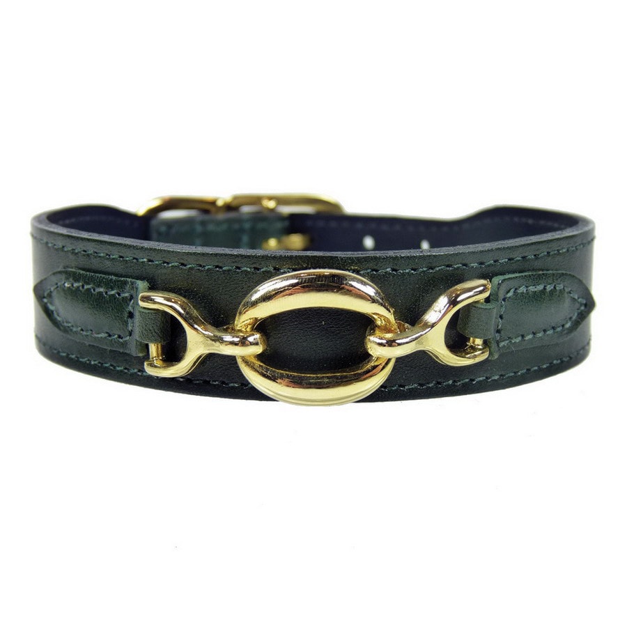 Hartman & Rose Ivy Green Leather Dog Collar at Lowes.com