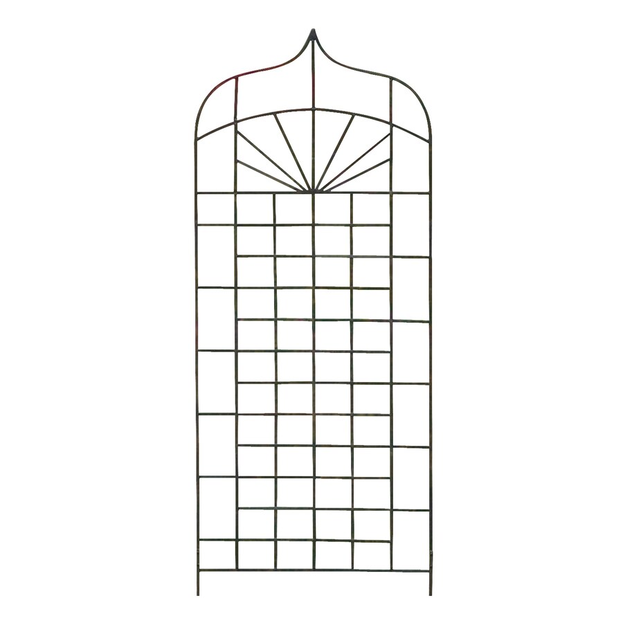 H. Potter Ogee 32in W x 72in H Charcoal Brown Garden Trellis in the