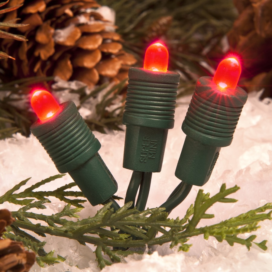 Shop TreeKeeper 50-Count Constant Red Mini LED Plug-in Christmas String Lights at Lowes.com