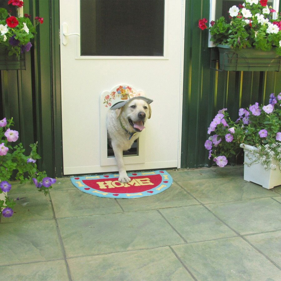 doggy doors lowes