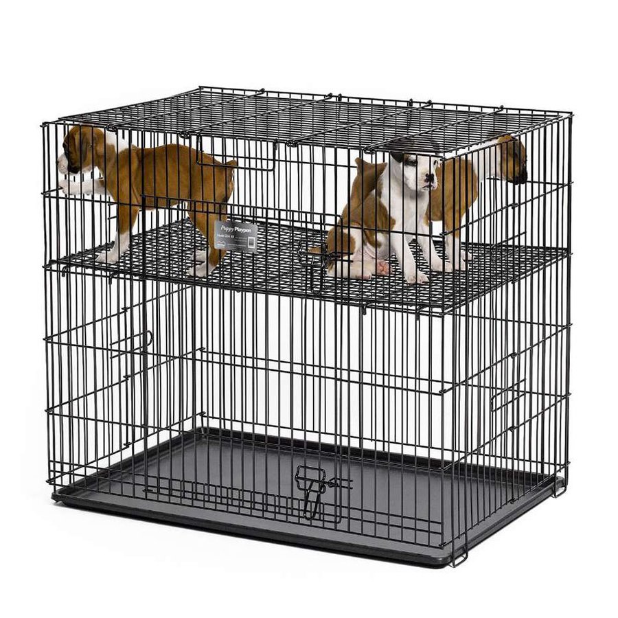 midwest pets undefined at Lowes.com