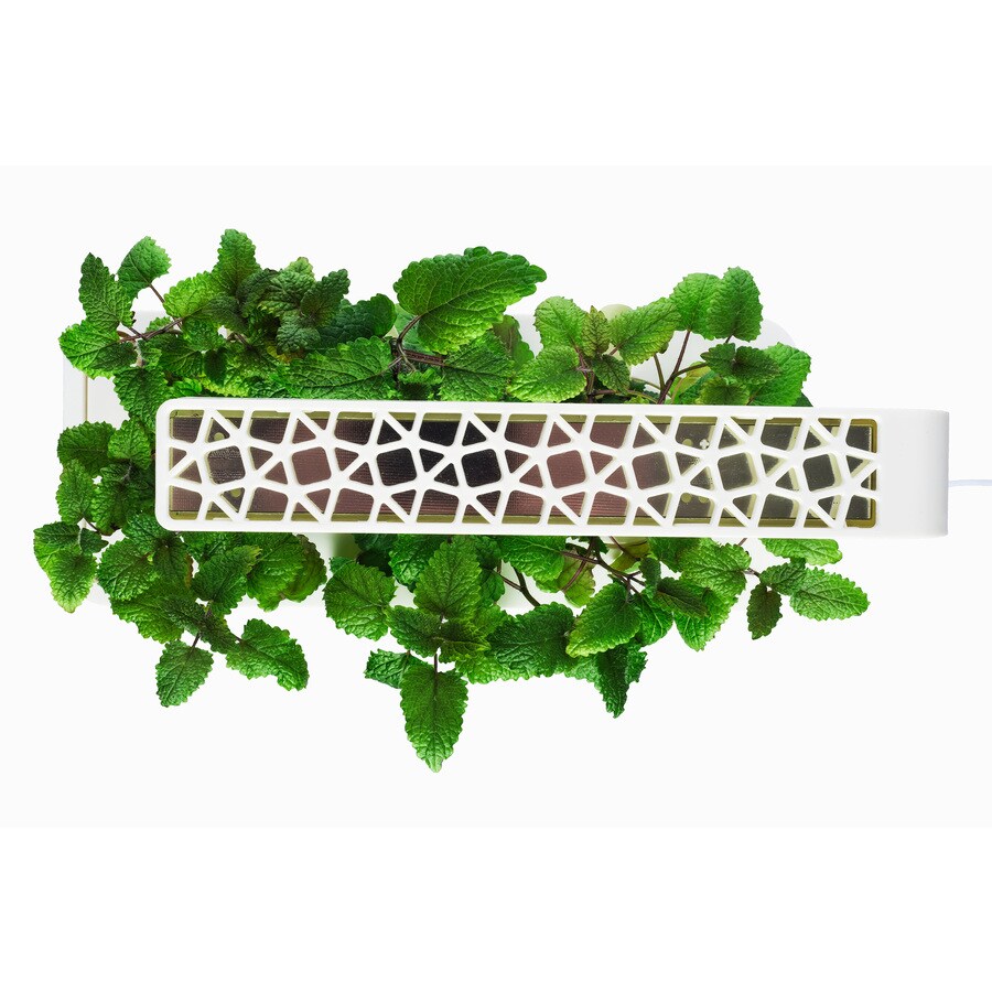 Click and Grow Herb Gardening Kit at Lowes