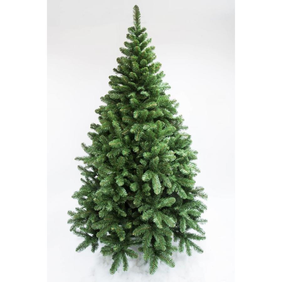 Nordmann fir Christmas Trees at