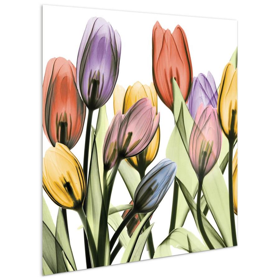 Empire Art Direct Wall Art 24 x 24 Tulip Scape x-ray I Flowers ...