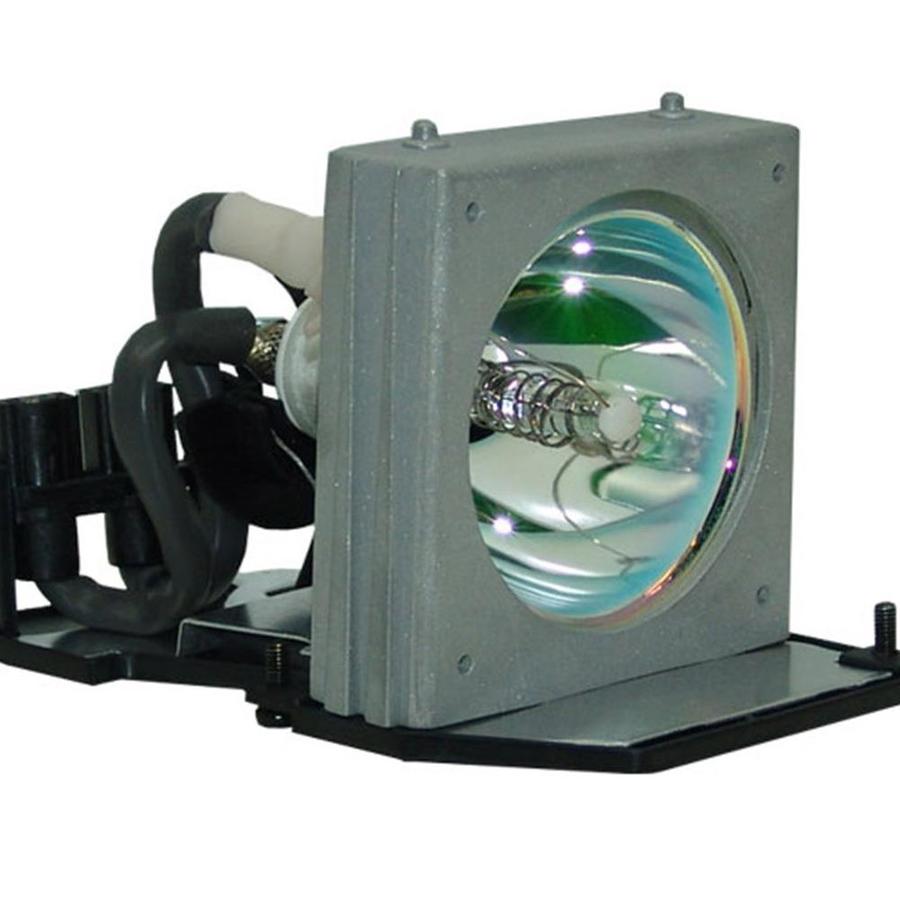 Acer EC.J1601.001 Compatible Projector Lamp Module in the Endless Aisle ...