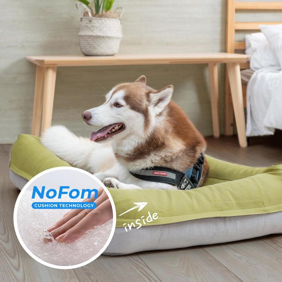 inside dog beds