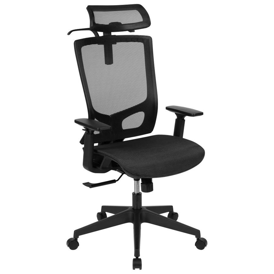 Ikä Pullo Sopimaton Ergonea Mesh, Mfavour Office Chair Ergonomic With Adjustable Arms And Back Support