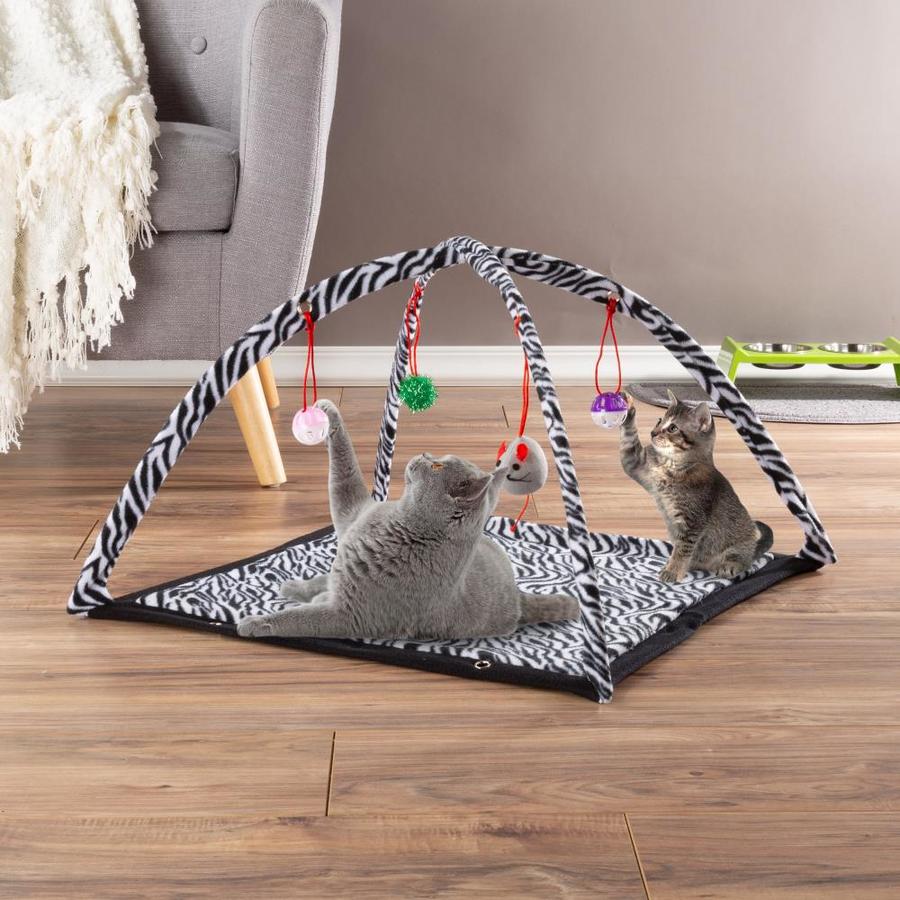 cat toys and treats