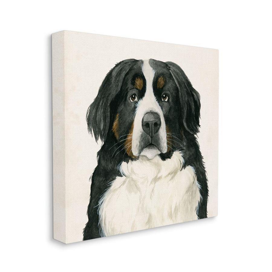 Minimalist Wall Art Drawing Bernese Mountain Dog Line Art Dogs Pets Urns Memorials Pet Portraits Safarni Org