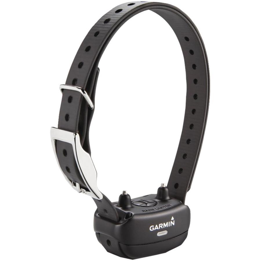 lowes dog shock collar