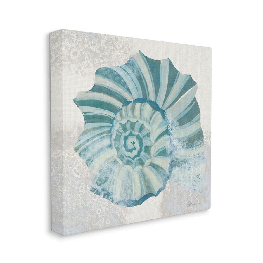 Stupell Industries Marine Nautilus Shell Beach Ocean Animal Painting 24 In H X 24 In W Coastal Print On Canvas In The Wall Art Department At Lowes Com