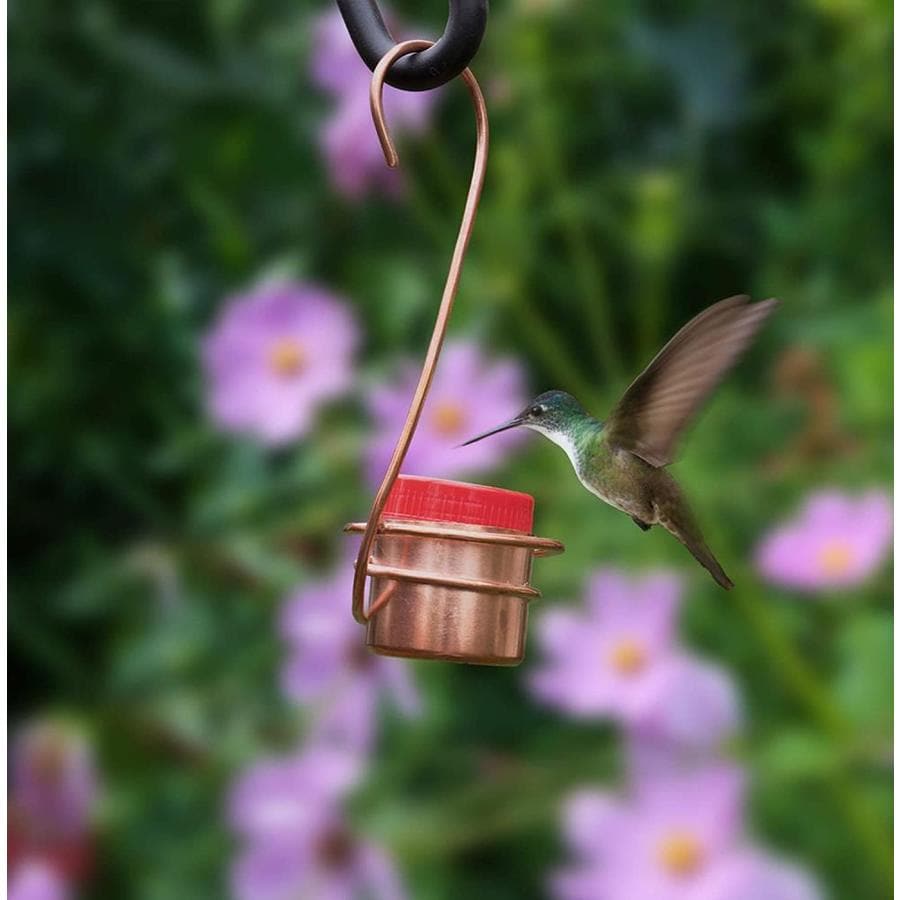 Monarch Abode Monarch Abode Pure Copper Single Hummingbird Feeder in ...