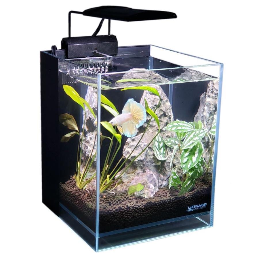 LIFEGARD 1.2 Gallon Low Iron Ultra Clear Aquarium with Corner Filter ...