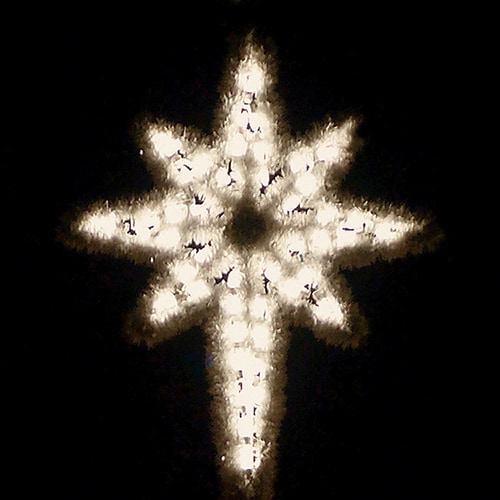 Holiday Lighting Specialists 48 Ft Garland Star Of Bethlehem Outdoor