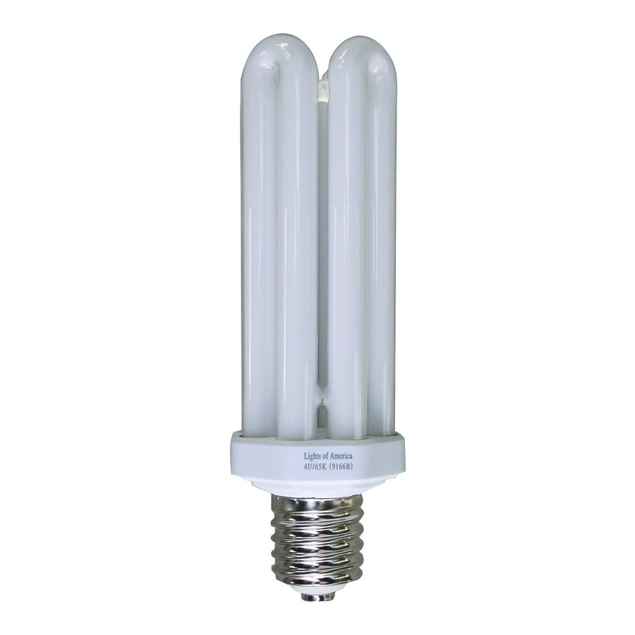 Lights of America Daylight CFL Light Fixture Light Bulb at Lowes.com