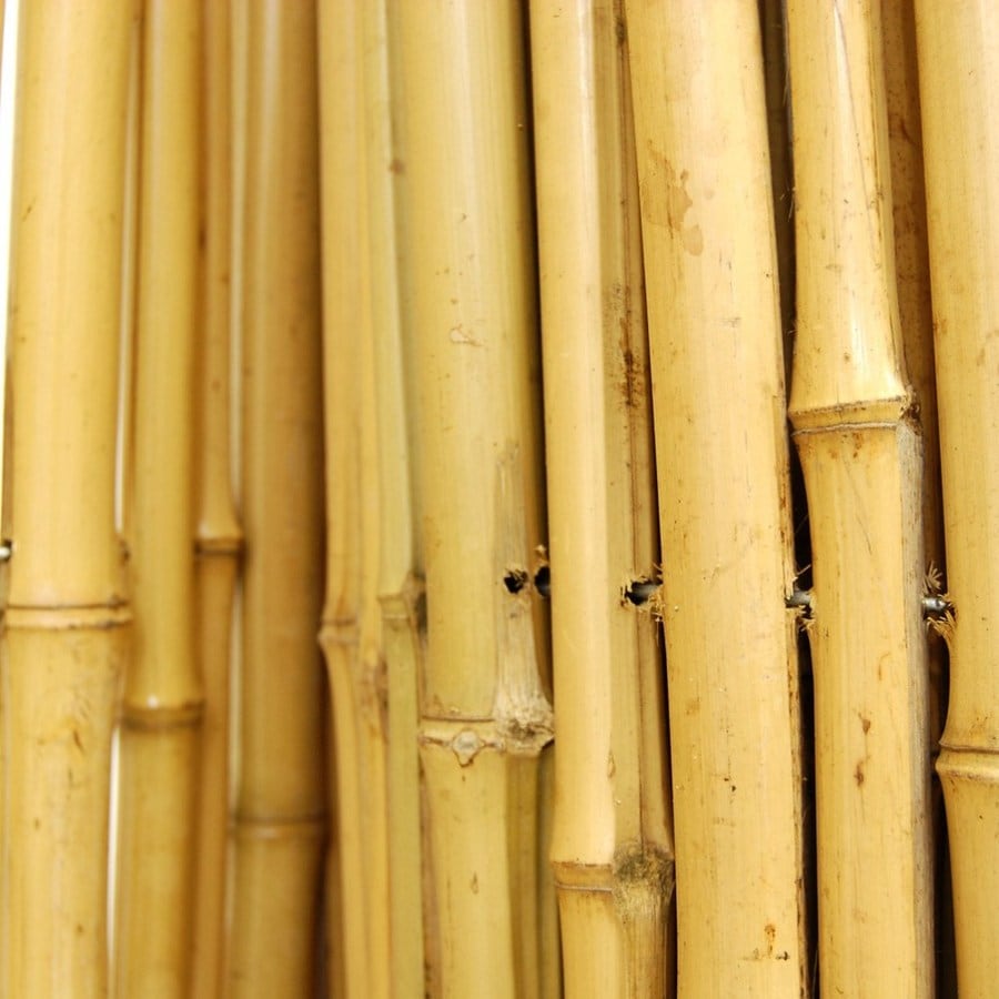 Бамбуковая древесина