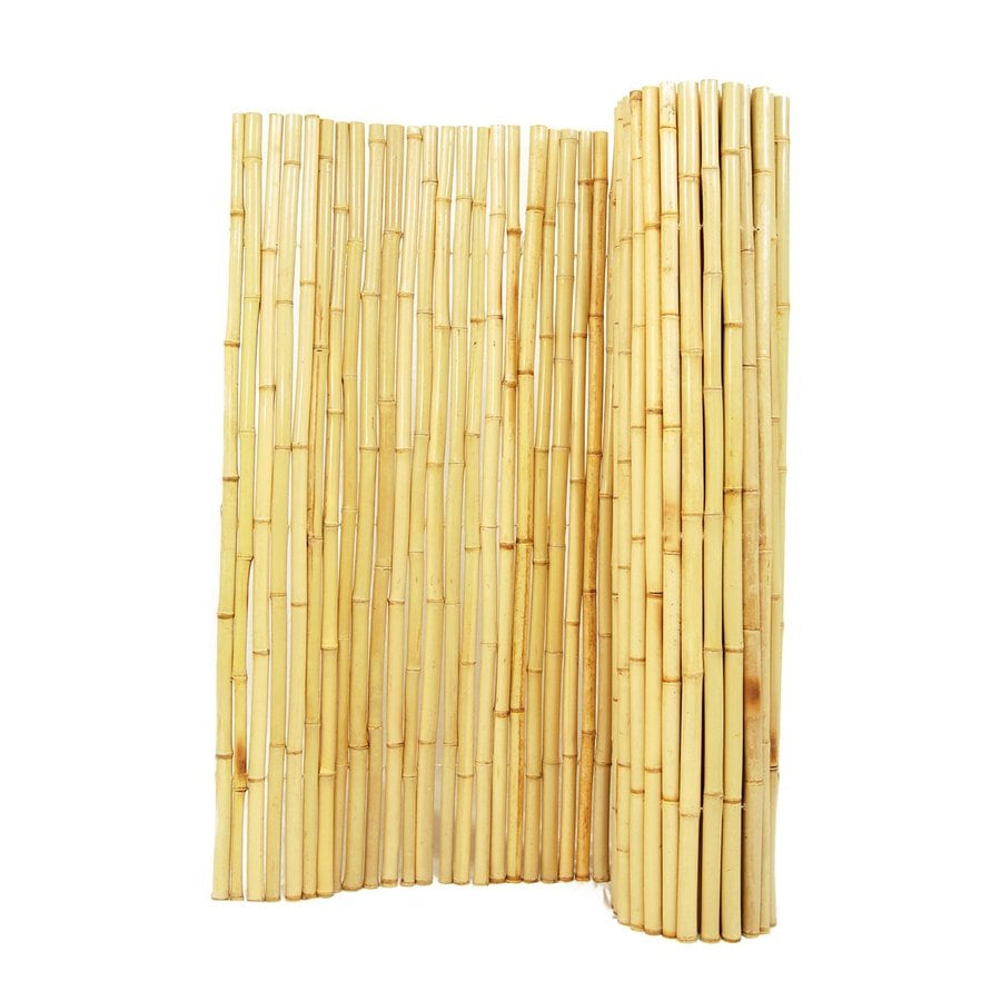 Backyard X Scapes Natural Wood Bamboo Fencing (Common 8 ft x 4 ft; Actual 8 ft x 4 ft)