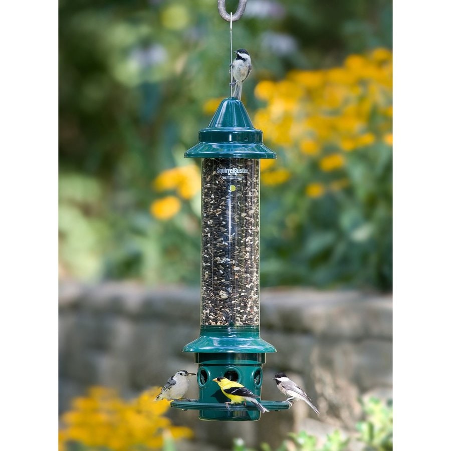 Birds Choice Brome Steel Squirrel-Resistant 3-Quart Tube Bird Feeder in