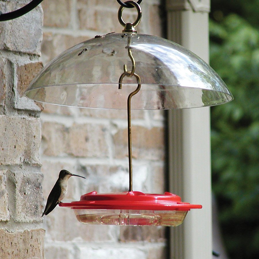 BIRDS CHOICE NP3008 Hummingbird-Feeders - View #2