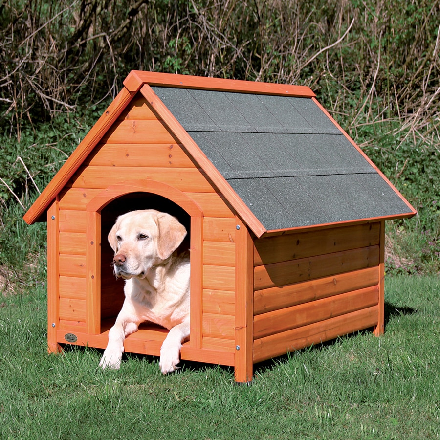 Dog House 2