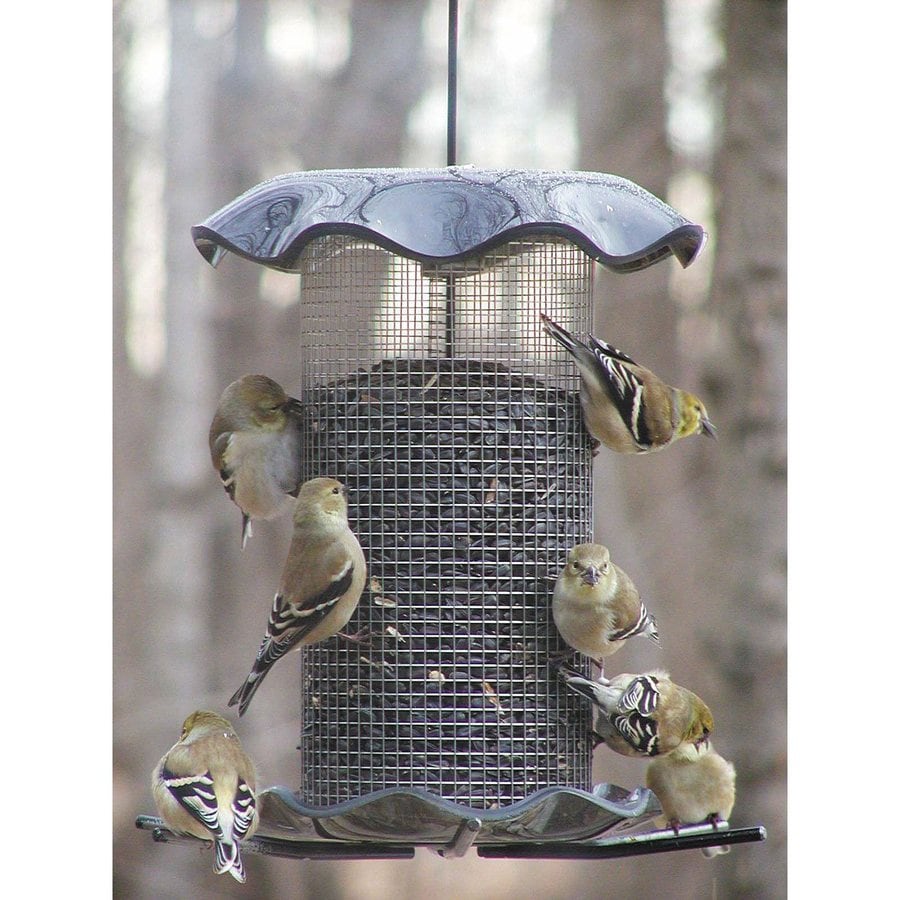 BIRDS CHOICE Steel Tube Bird Feeder in the Bird Feeders department at