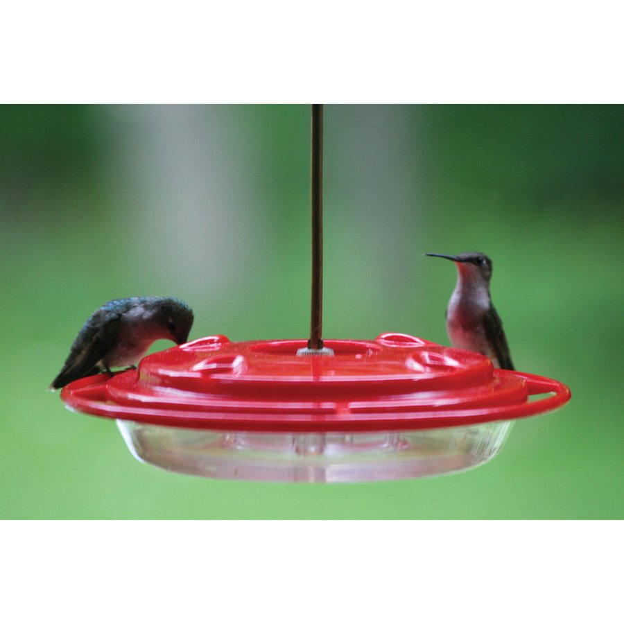 BIRDS CHOICE Hummerfest Plastic Hummingbird Feeder at Lowes.com