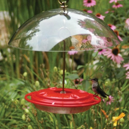 BIRDS CHOICE Hummerdome Plastic Hummingbird Feeder At Lowes birds-choice-hummerdome-plastic-hummingbird-feeder-at-lowes
