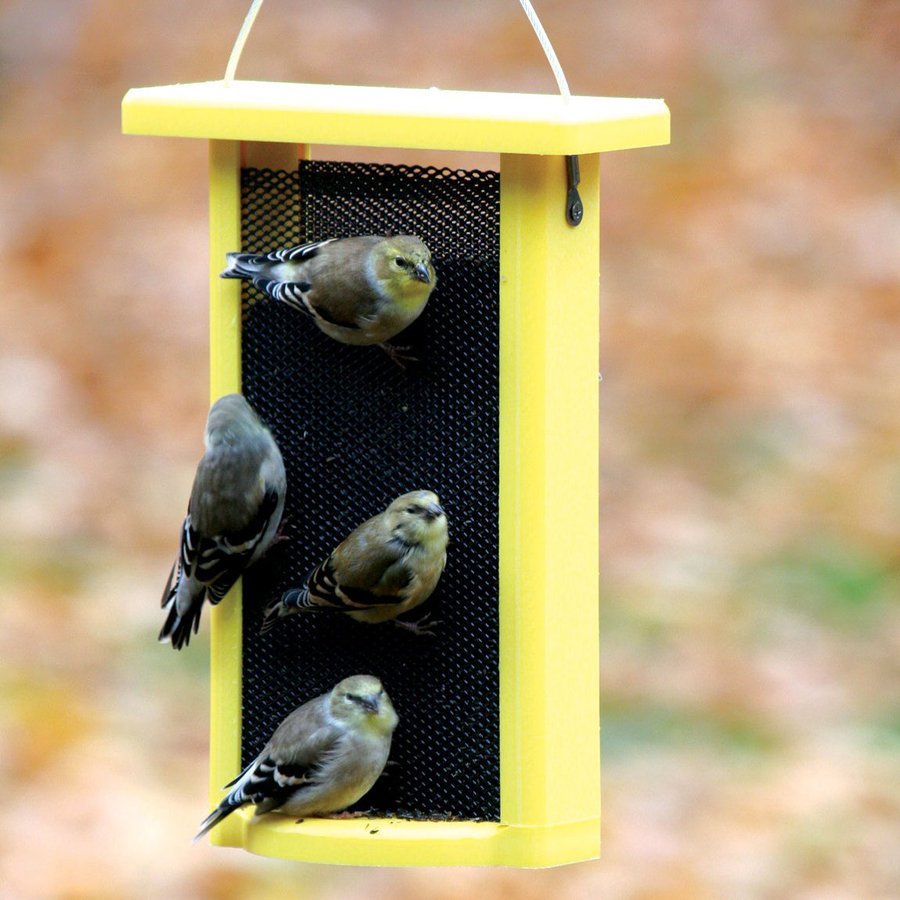 BIRDS CHOICE Recycled Plastic Bird Feeder at
