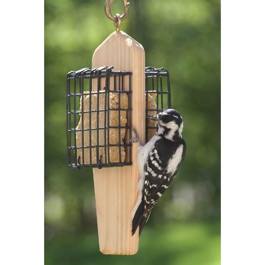 BIRDS CHOICE Cedar TwoCake Cedar Suet Feeder at