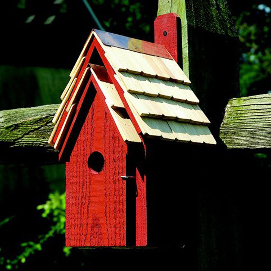 Heartwood 8-in W x 16-in H x 8-in D Redwood Bird House at Lowes.com