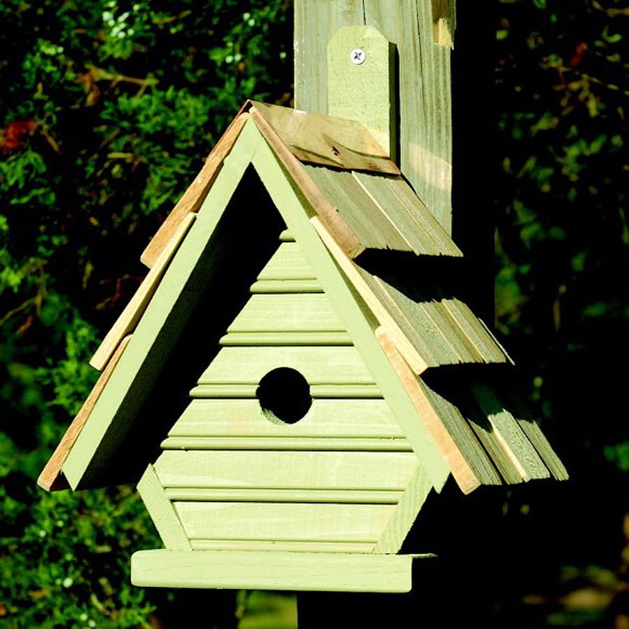 Heartwood 8-in W x 12-in H x 6-in D Celery Bird House at Lowes.com